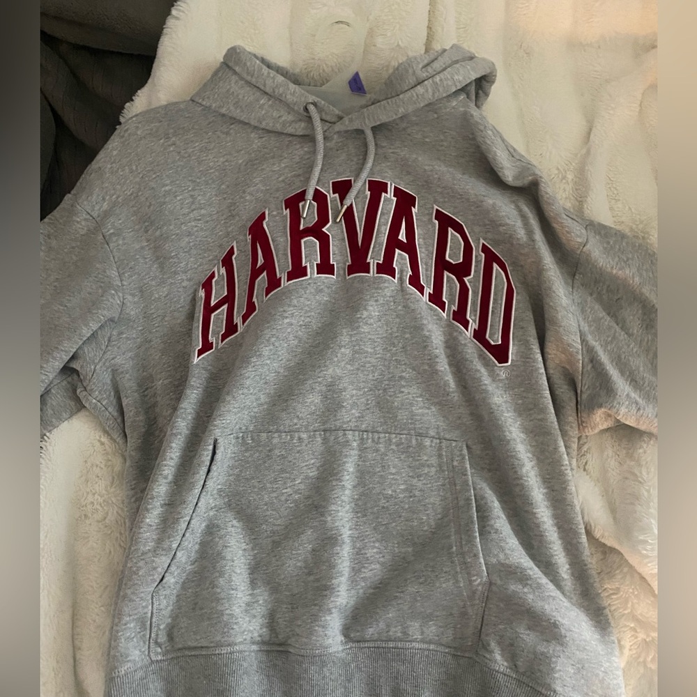 Gray Harvard Hoodie